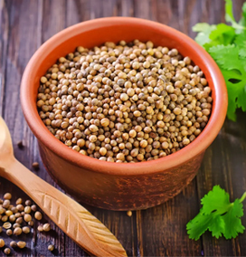 Coriander